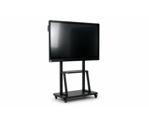 Interactive Flat Panel Displays