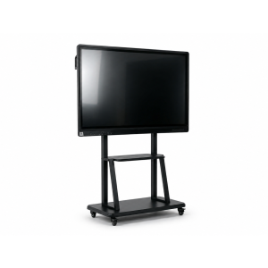 Interactive Flat Panel Displays